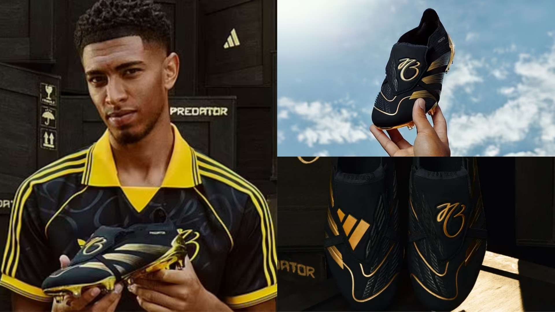 王楚钦的 王楚钦的