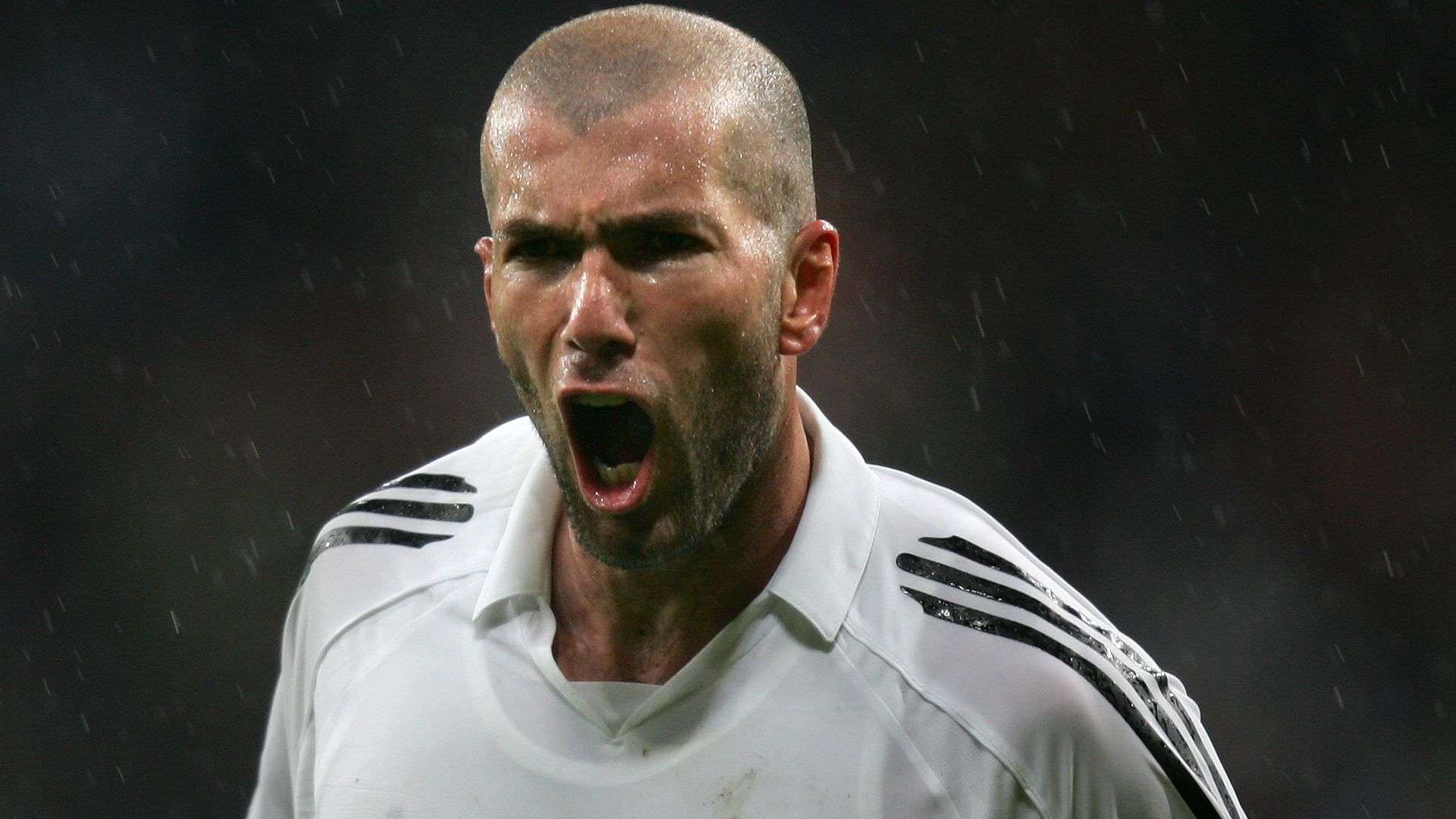 同样不可或 同样不可或