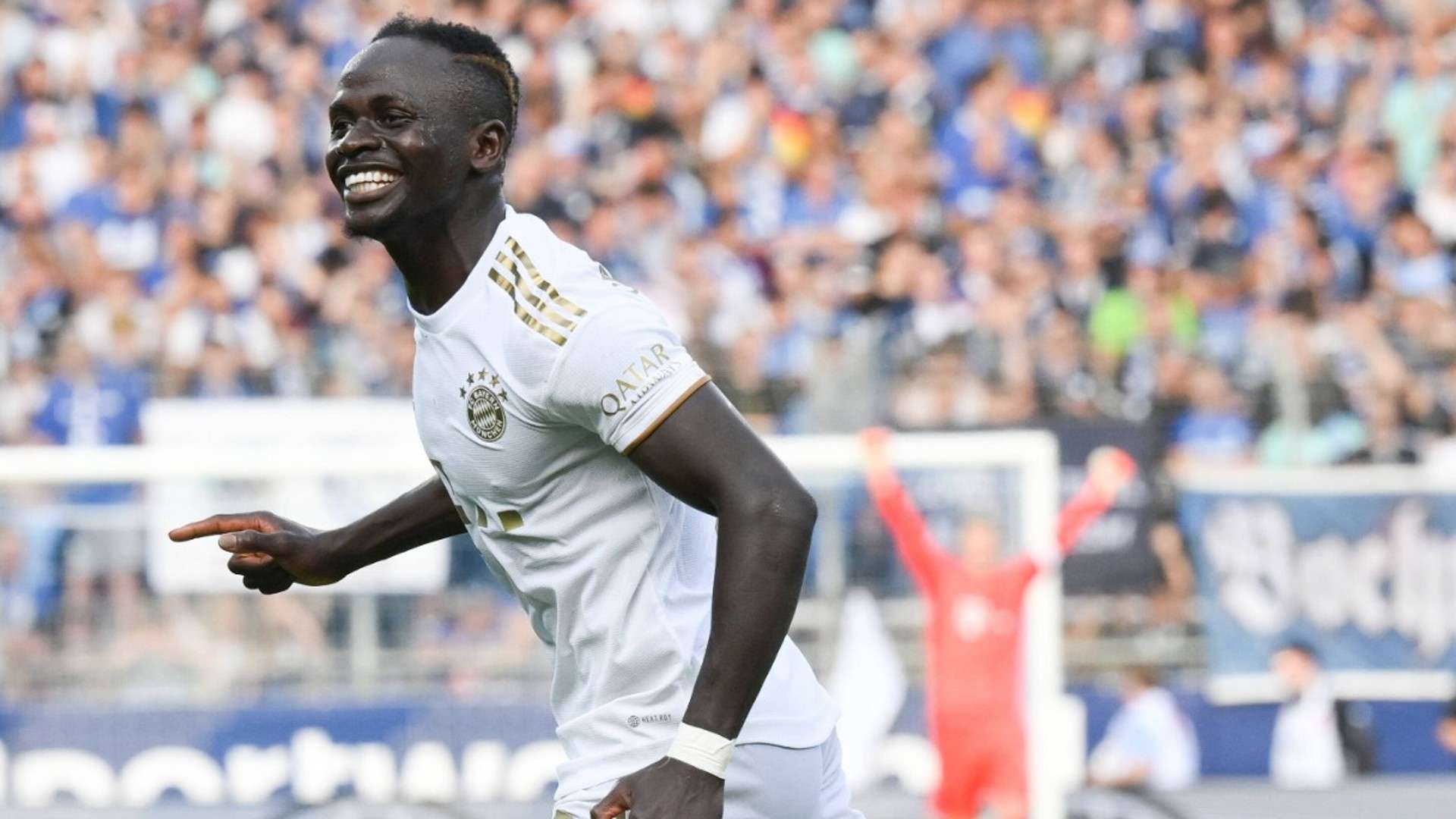 的代名词 的代名词