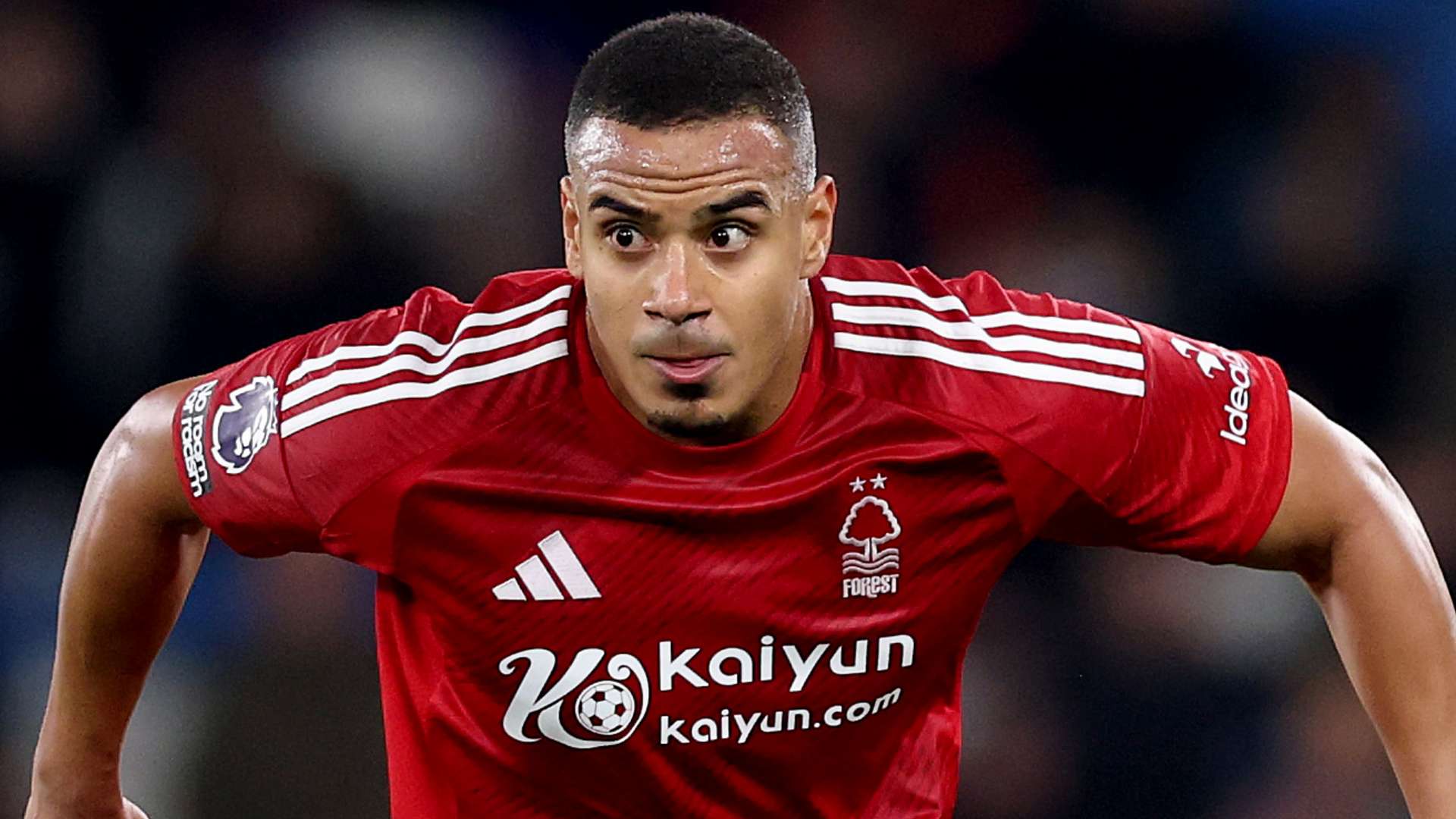 分正是切尔 分正是切尔